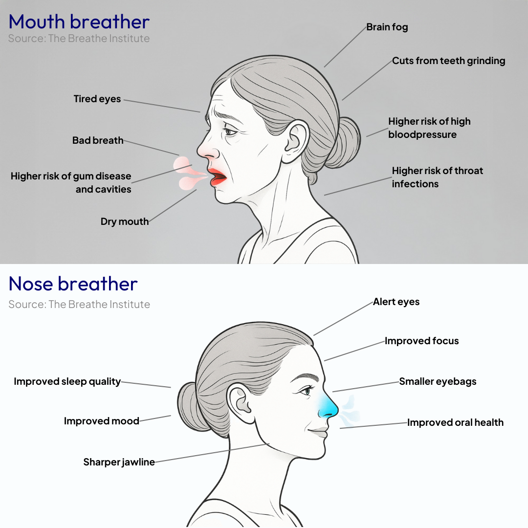 Illustration comparing a mouth breather and a nose breather; mouth breathing linked to dryness, bad breath, fatigue, while nose breathing improves sleep, mood, and focus.